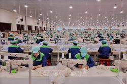 Hướng đi bắt buộc để doanh nghiệp dệt may duy trì đơn hàng