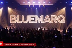 Bluemarq Group: Chi phí tăng mạnh, lợi nhuận lao dốc