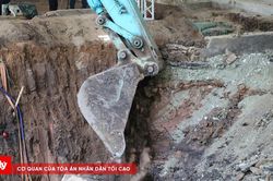 Thêm 8 hài cốt liệt sĩ được tìm thấy ở Công viên Lê Thị Riêng