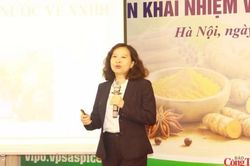 Cấp C/O từ 1/8: Doanh nghiệp cần lưu &yacute; để kh&ocirc;ng gi&aacute;n đoạn xuất khẩu