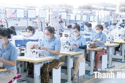 Quyết liệt các giải pháp, hoàn thành cao nhất nhiệm vụ thu ngân sách