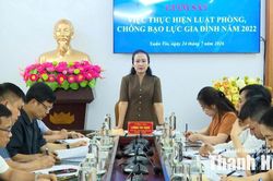 Giám sát triển khai thực hiện Luật Phòng, chống bạo lực gia đình năm 2022