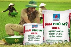 Đạm Phú Mỹ báo lãi quý II vượt mốc 900 tỷ, trích lập dự phòng 588 tỷ với các khoản phải thu ngắn hạn khó đòi