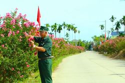 Đường hoa khoe sắc lan tỏa nếp sống văn minh