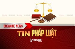 Triệt phá đường dây ma túy, thu giữ hơn nửa kg ma túy