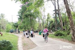 Phát triển sản phẩm du lịch sinh thái rừng