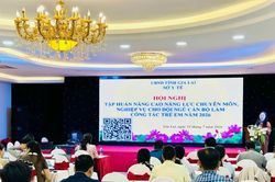 Gia Lai: Hơn 100 cán bộ làm công tác trẻ em tuyến xã tập huấn nâng cao năng lực chuyên môn