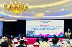 Gia Lai: Hơn 100 cán bộ làm công tác trẻ em tuyến xã tập huấn nâng cao năng lực chuyên môn