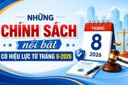 [Infographic] Những chính sách nổi bật có hiệu lực từ tháng 8-2026
