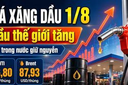 Giá xăng dầu hôm nay 1/8/2026: Dầu thế giới WTI, Brent tăng nhẹ
