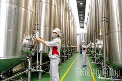 Chương trình OCOP - Động lực phát triển kinh tế nông thôn bền vững
