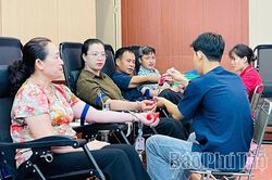 Hẹn nhau nơi những giọt hồng