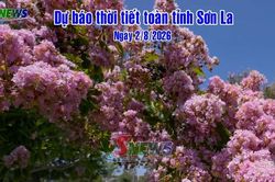 Dự báo thời tiết toàn tỉnh Sơn La ngày 2/8/2026