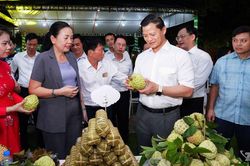 Khai mạc chương trình 'Xúc tiến, kết nối tiêu thụ sản phẩm na La Hiên và nông sản tỉnh Thái Nguyên 2026'