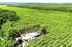 Nâng cao hiệu quả hoạt động Quỹ nông nghiệp và môi trường Đồng Nai Chuyển hóa giá trị sinh thái của rừng thành nguồn lực kinh tế quan trọng