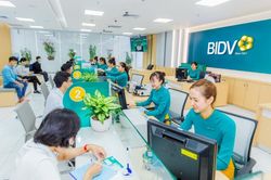 Thanh tra NHNN: BIDV Bình Định còn tồn tại trong thẩm định, giải ngân và giám sát vốn vay
