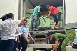 Gần 17 tấn thực phẩm đông lạnh không rõ nguồn gốc trên đường đưa đi tiêu thụ