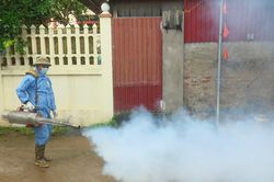 Hà Nội ngăn chặn dịch sốt xuất huyết