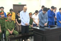 Vụ Mediphar: Hai cựu lãnh đạo hải quan lĩnh 13 năm tù