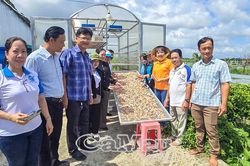 Hội LHPN tỉnh C&agrave; Mau hỗ trợ hộ kinh doanh chuyển đổi th&agrave;nh doanh nghiệp