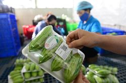 Đơn giản thủ tục cấp mã số vùng trồng, cơ sở đóng gói