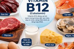 Bổ sung vitamin B12 và sắt có tác dụng gì?