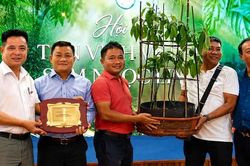 Củ sâm Ngọc Linh hơn 35 năm tuổi được đấu giá 725 triệu đồng