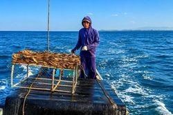 Chiếc bẫy tre giữ hồn nghề biển