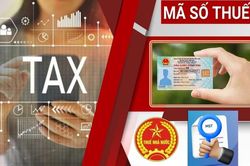 Nhận thu nhập từ nhiều nơi, khi nào có thể phải nộp thêm thuế?
