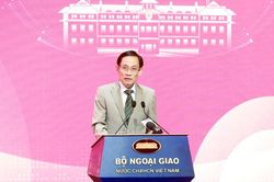 Nâng tầm đối ngoại địa phương, tăng cường nguồn lực quốc tế phục vụ phát triển