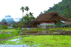 Thôn Tha - Làng du lịch cộng đồng tốt nhất năm 2025:Bài 1: Thôn Tha - bình yên dưới những tầng mây