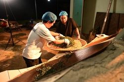 Đánh thức giá trị trà cổ thụ