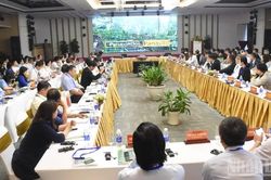 Đà Nẵng nâng tầm giá trị sâm Ngọc Linh