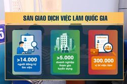 [Video] Hơn 14.000 người đăng ký tìm việc trên Sàn giao dịch việc làm quốc gia