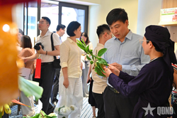 Hơn 1,2 tấn na Chi Lăng được tiêu thụ sau 3 ngày tại 'Lạng Sơn Corner'