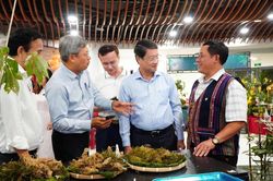 Khai mạc Lễ hội Sâm Ngọc Linh và Dược liệu quốc tế Đà Nẵng 2026