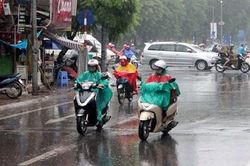 Dự báo thời tiết 2/8: Bắc Bộ ngày nắng, Nam Bộ mưa dông về chiều tối