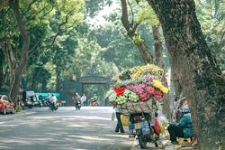 Thu Hà Nội