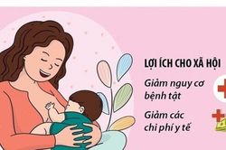 Phát động Tuần lễ thế giới nuôi con bằng sữa mẹ năm 2026