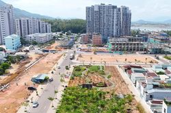 Phú Gia với 'Hành trình gieo bóng mát' vùng biển Quy Nhơn