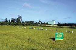 An ninh năng lượng - Nền tảng bảo đảm an ninh lương thực v&agrave; ổn định kinh tế