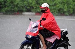 Dự b&aacute;o thời tiết 3/8: Miền Bắc vẫn xuất hiện mưa lớn cục bộ, H&agrave; Nội 34 độ