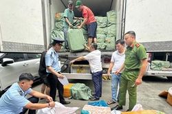 Tạm giữ gần 17 tấn thực phẩm đông lạnh không rõ nguồn gốc