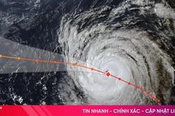 Khu vực có thể chịu ảnh hưởng trực tiếp của bão Dolphin trong tuần tới