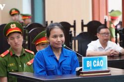 Điện Biên: Truy nã đối tượng hủy hoại rừng, xét xử vụ xúc phạm Quốc kỳ