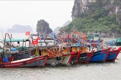 Quảng Ninh: Hơn 4.100 tàu cá trên 6 mét được quản lý trên hệ thống VNFishbase
