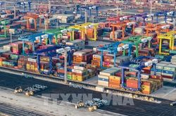 Nhiều doanh nghiệp Trung Quốc quay trở lại Libya