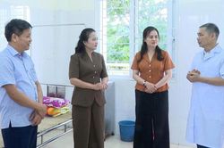 Nâng cao hiệu quả thực thi Luật Phòng, chống bạo lực gia đình tại Thanh Hóa