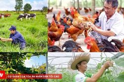 Nhiều chính sách mới chính thức có hiệu lực từ tháng 8/2026