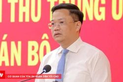 Phê chuẩn kết quả bầu chức vụ Chủ tịch UBND tỉnh Quảng Ngãi